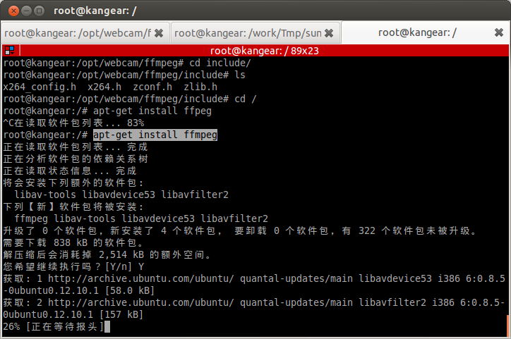 v4l2webcam, Ԥ()