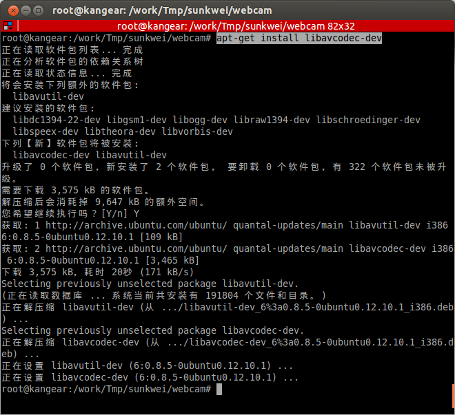 v4l2webcam, Ԥ()