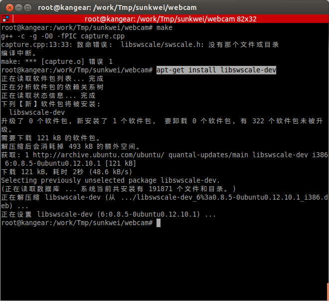 v4l2webcam, Ԥ()