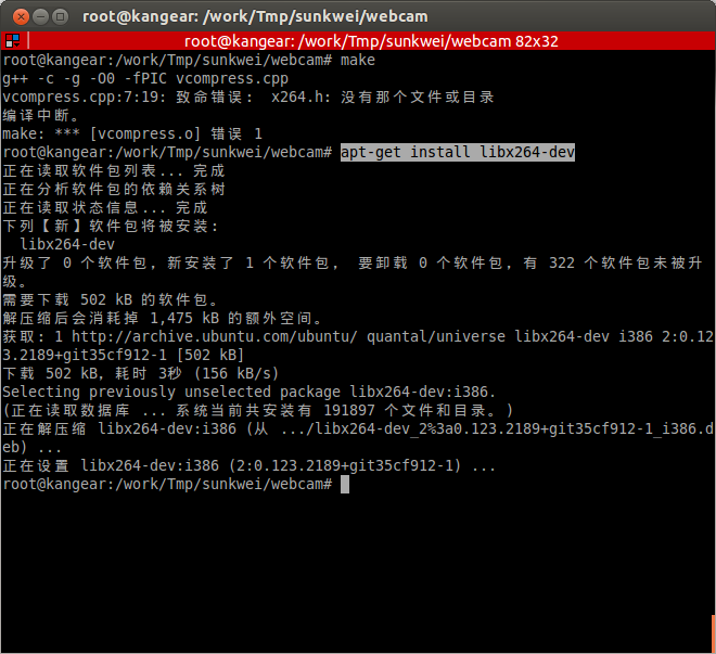 v4l2webcam, Ԥ()