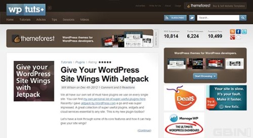 Wordpress正题和网站设计开发手册和资源