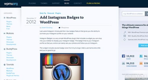 Wordpress正题和网站设计开发手册和资源