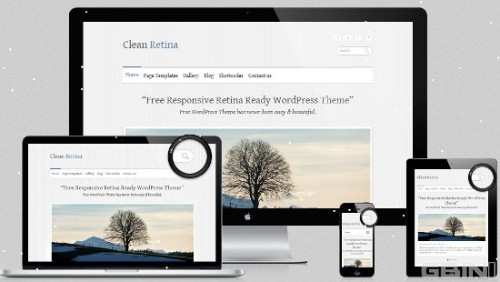 Wordpress正题和网站设计开发手册和资源