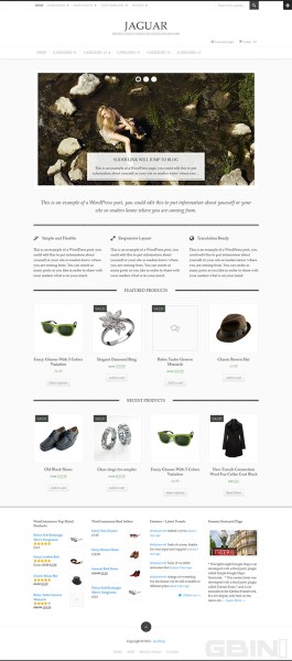 Wordpress正题和网站设计开发手册和资源