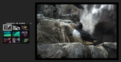 30��ͼƬ�������Ѽ���ת�أ�