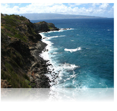 30��ͼƬ�������Ѽ���ת�أ�