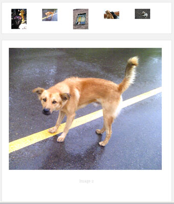 30��ͼƬ�������Ѽ���ת�أ�