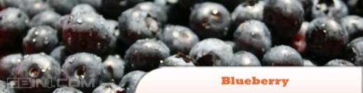 ʮĶjQuery