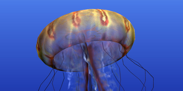 15 ������ Chrome ����������� WebGL ������