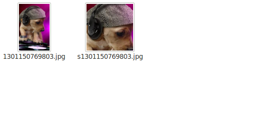 jQuery+Struts2 webͷ´