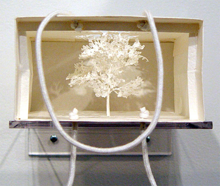 �����д�����΢��ֽ����(paper bag tree)���