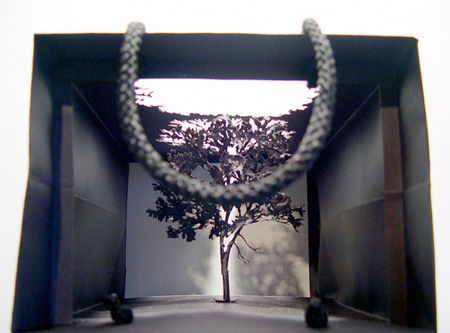 �����д�����΢��ֽ����(paper bag tree)���