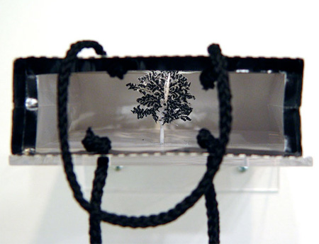 �����д�����΢��ֽ����(paper bag tree)���