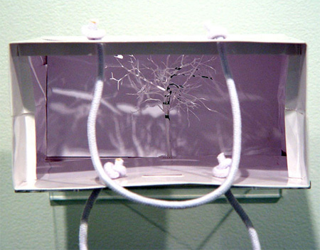 �����д�����΢��ֽ����(paper bag tree)���