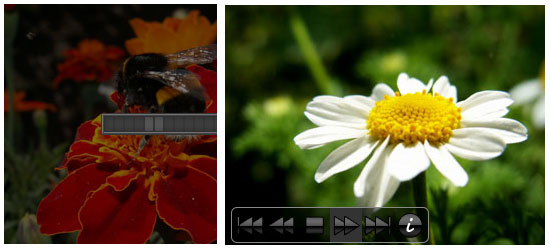 �� Google ������ҳ��ĺö���