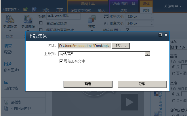 sharepoint 2010 ��ôʹ��sharepoint��ý����Ƶ����media webpart����