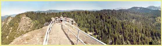 jquery UI: �Ƽ��˸�����Ӧ�õ�JQuery�ϷŲ��Table Drag plugin