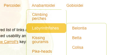 14��ʵ�������˵��������