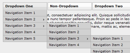 14��ʵ�������˵��������