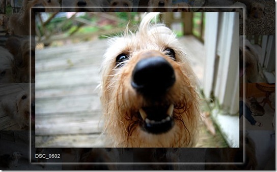 23�������ҵ�jQuery�����