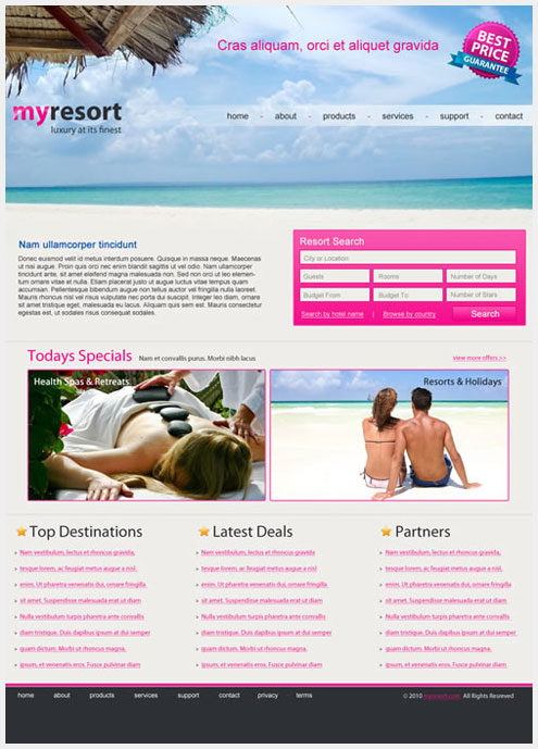 40��˧�����õ�PSD WEBģ����Դ