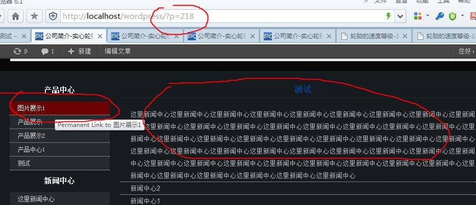 wordpress single ��ϸҳ��������̣����ܵ���Ǹ���ϸҳ��������ʾͬһ������ ���ݼ�ͼ��������