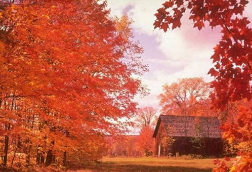 ת�����׵Ĵ������ֵ�PS