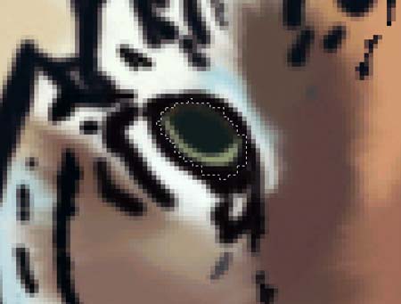 ���ϻ������������ڿ��飬û������ѧ1ѧ��