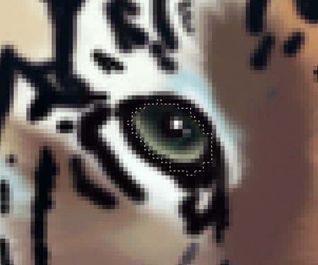 ���ϻ������������ڿ��飬û������ѧ1ѧ��