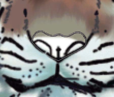 ���ϻ������������ڿ��飬û������ѧ1ѧ��