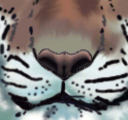 ���ϻ������������ڿ��飬û������ѧ1ѧ��