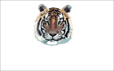 ���ϻ������������ڿ��飬û������ѧ1ѧ��