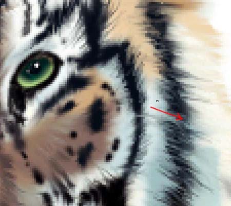 ���ϻ������������ڿ��飬û������ѧ1ѧ��