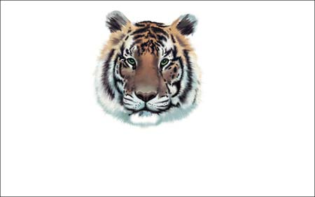 ���ϻ������������ڿ��飬û������ѧ1ѧ��