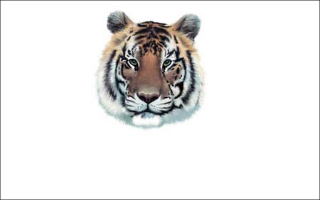 ���ϻ������������ڿ��飬û������ѧ1ѧ��