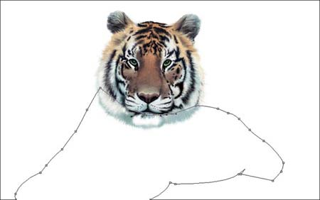 ���ϻ������������ڿ��飬û������ѧ1ѧ��