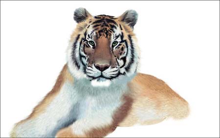 ���ϻ������������ڿ��飬û������ѧ1ѧ��