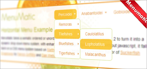 [ת]30+ Web�����˵�