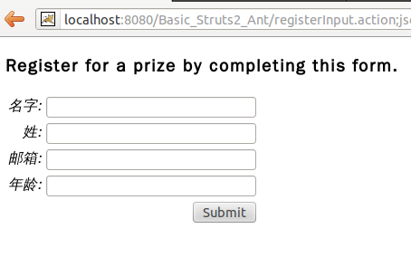 ʩ��struts2���й��ʻ�