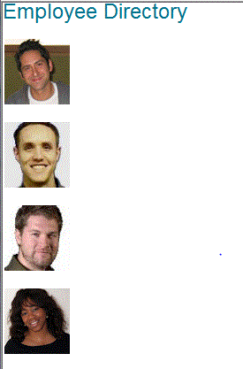 v4_01 ����Ŀ��Ⱦ����չʾ����