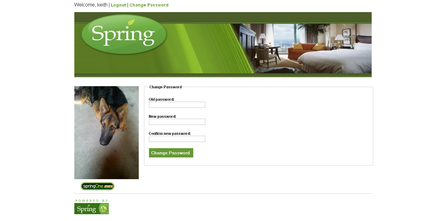 Ӧsitemesh滻tiles2spring mvc+spring web flow+sitemsh