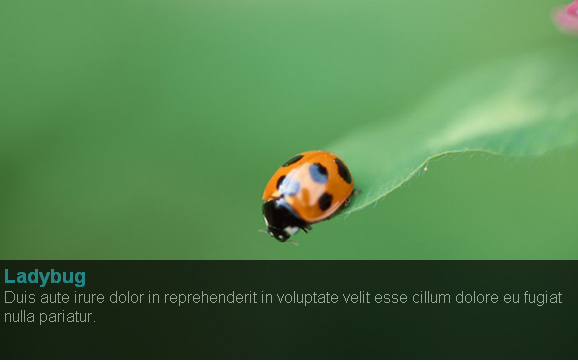 40个十分优秀的 jQuery 插件和教程【系列三】