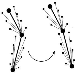 ù