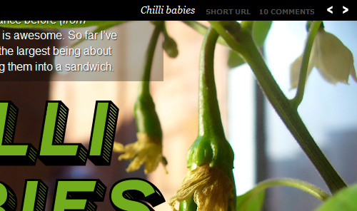 ��վ�캽������ư�������