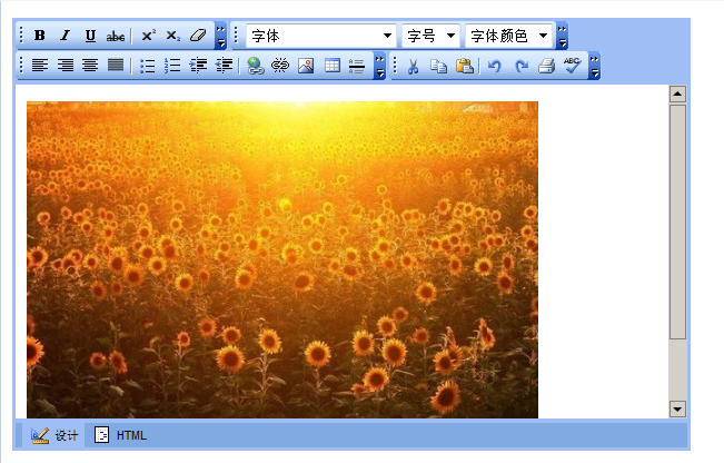 ASP.NET惯用在线编辑器使用方法总结