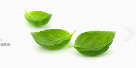 jqueryͼƬ�õ�Ƭ,Jquery��Ч