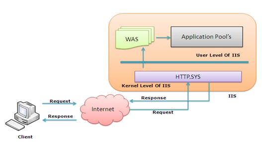 IISαASP.NET
