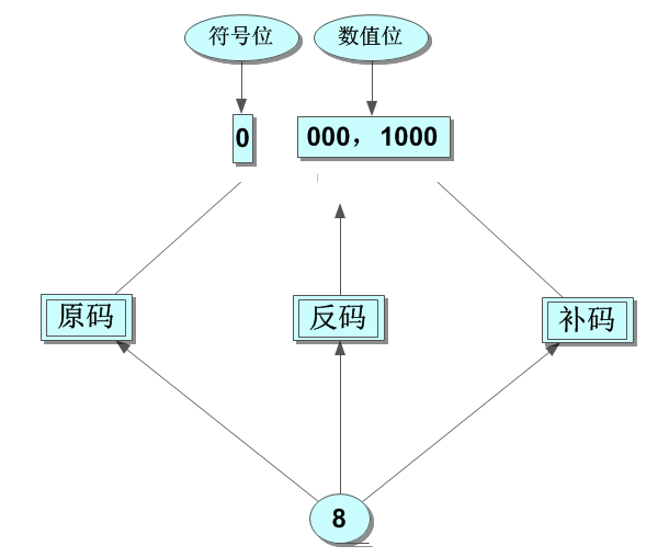 ԭ룬룬롪
