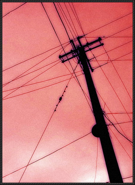 ����������ҵ�����