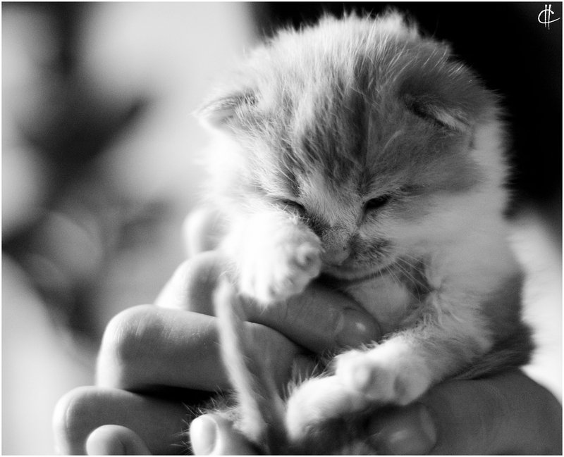 卸上你心里的“累”